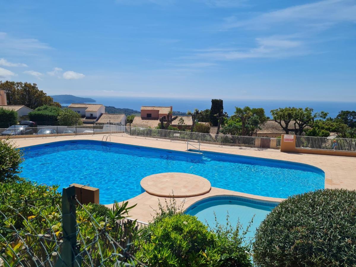 Bel Appartement Renove, Avec Terrasse Et Piscine La Croix-Valmer Eksteriør bilde