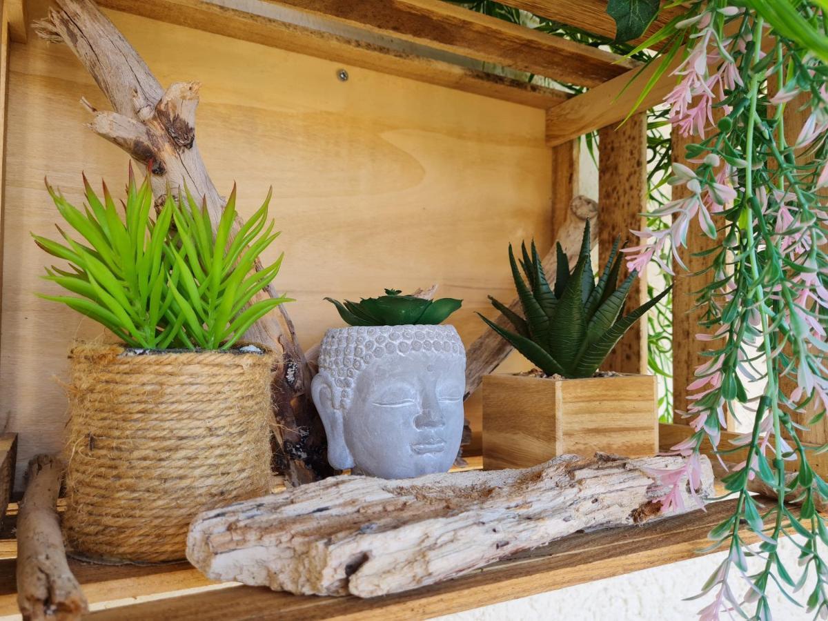 Bel Appartement Renove, Avec Terrasse Et Piscine La Croix-Valmer Eksteriør bilde