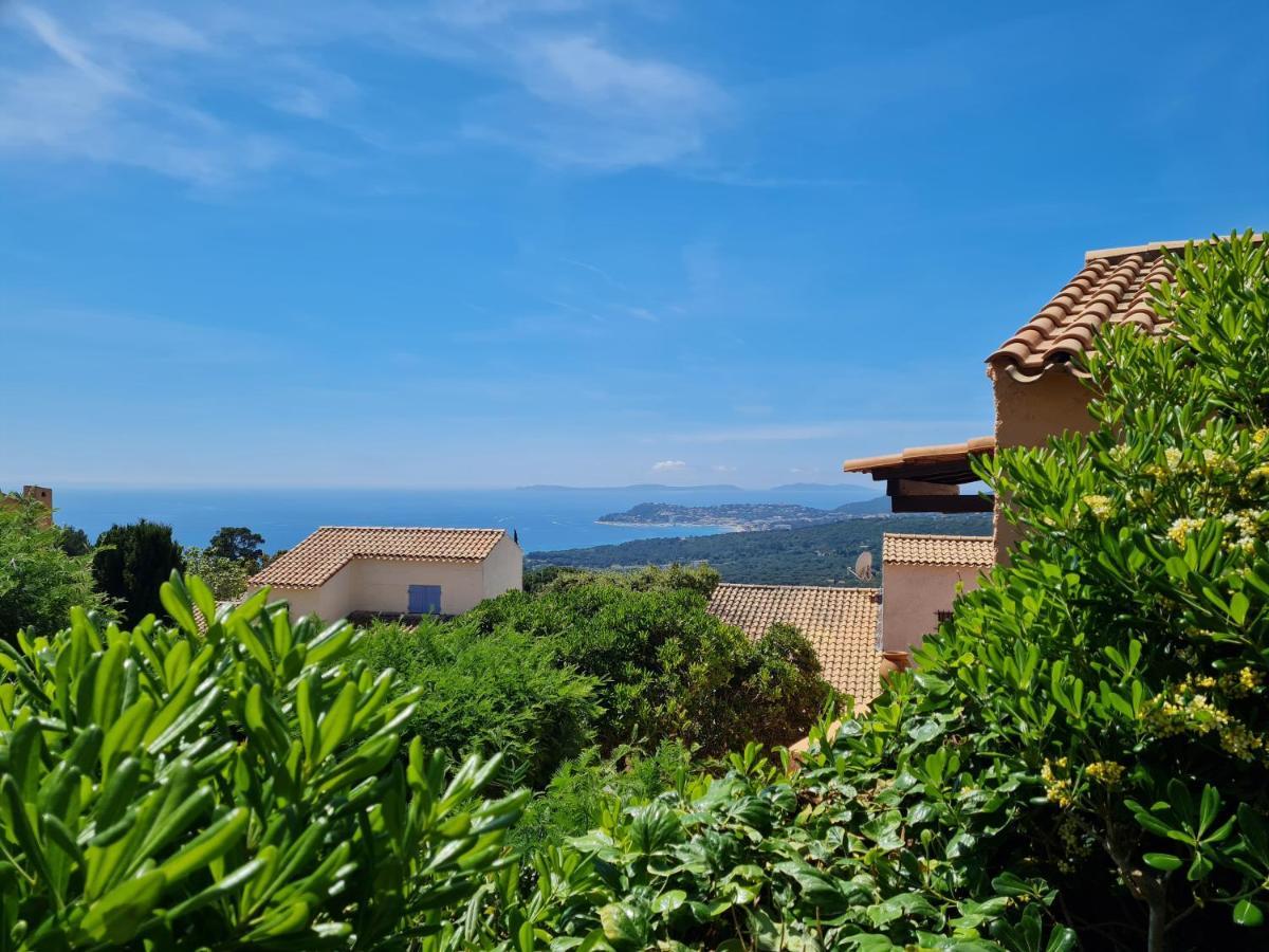 Bel Appartement Renove, Avec Terrasse Et Piscine La Croix-Valmer Eksteriør bilde
